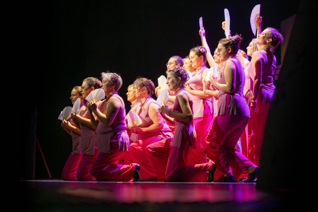 photographe spectacle danse groupe scène lumière dynamique